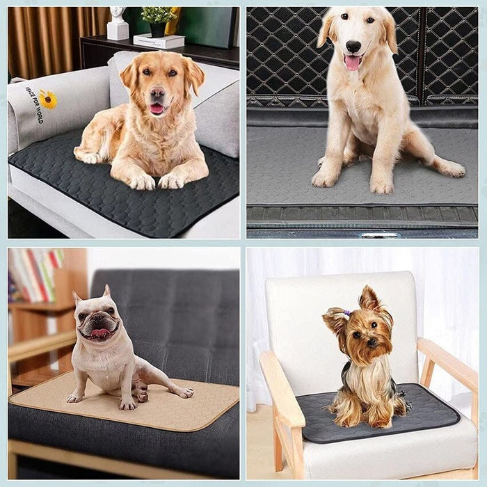 Pet  Pee Mat