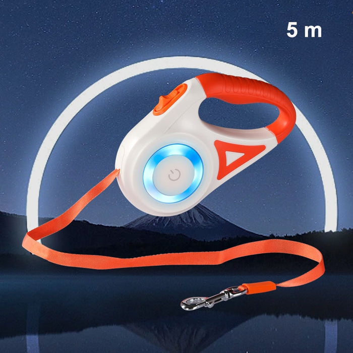 Light-up Dog Leash