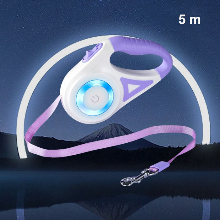 Light-up Dog Leash