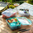 Portable Handle design Double layer Lunch box Compartment Bento Boxes Workers| Students |Toddlers | Bento Containers | Outdoor | Salad | Picnic box