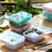 Portable Handle design Double layer Lunch box Compartment Bento Boxes Workers| Students |Toddlers | Bento Containers | Outdoor | Salad | Picnic box