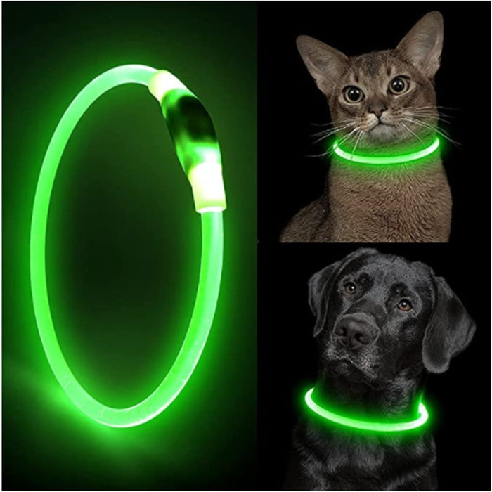 Light-up Dog Collar