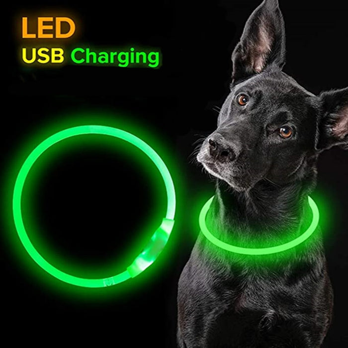 Light-up Dog Collar