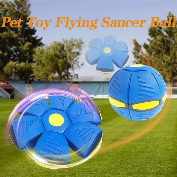 Saucer Ball Dog Toy