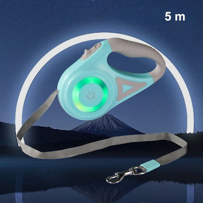 Light-up Dog Leash