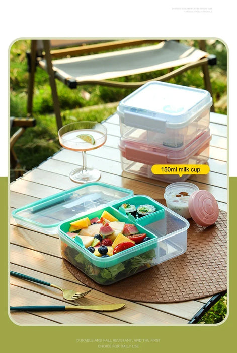 Portable Handle design Double layer Lunch box Compartment Bento Boxes Workers| Students |Toddlers | Bento Containers | Outdoor | Salad | Picnic box