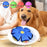 Saucer Ball Dog Toy