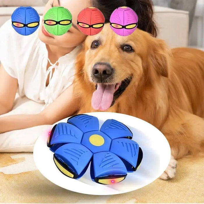 Saucer Ball Dog Toy