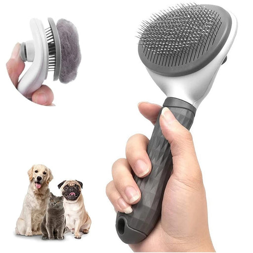 Pet Brush