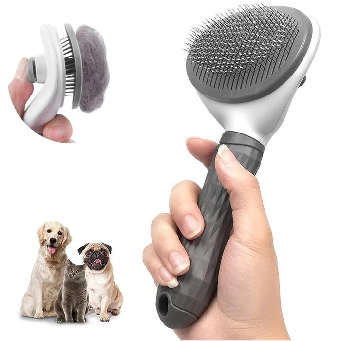 Pet Brush