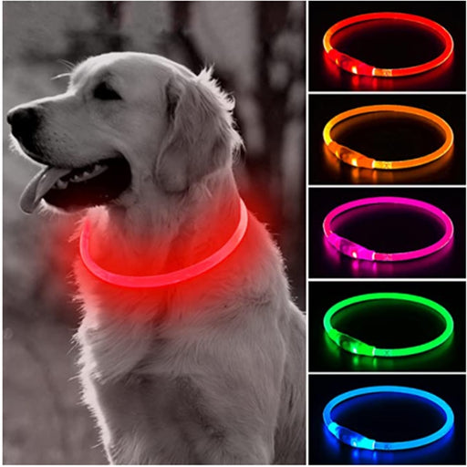 Light-up Dog Collar